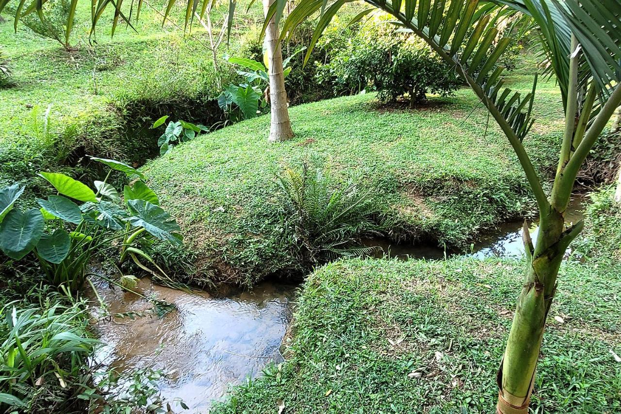 Recanto Dos Sabias - Chales Sao Bonifacio Sc מראה חיצוני תמונה