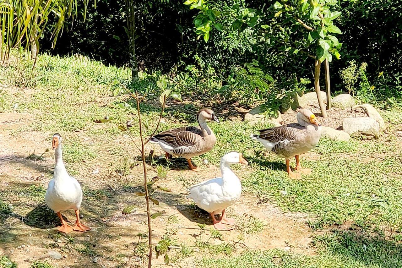 Recanto Dos Sabias - Chales Sao Bonifacio Sc מראה חיצוני תמונה
